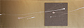 <i>Aenigma 7 Oro</i>, 2012, 150x50cm