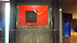 <i>Between nature and wish</i>, 2012, Acquario Civico, Milano</i>